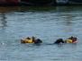 Lorient 16/06