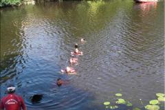 _00011-jpg