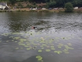 20150705_151153