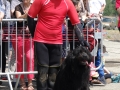 dsc01209