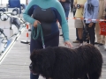 dsc03343