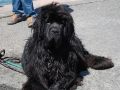 dsc_0046