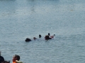 imgp0710
