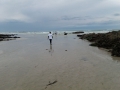 1764_1528054112247