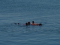 imgp2112