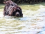 Audierne_Fête_de_la_SNSM_27.07.2019