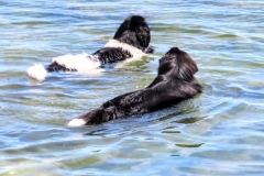 20190721150134_IMG_1227