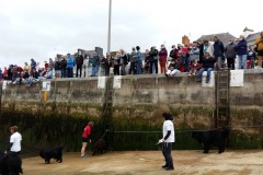 demo-2020