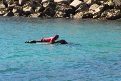 IMG_3301-Copie-2