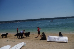 Brest-24-Juin-2023-8