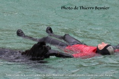 Dinard-5-Aout-2023-Journee-de-la-Peche-1