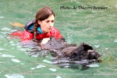 Dinard-5-Aout-2023-Journee-de-la-Peche-8