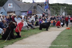 Saint-Suliac-Entre-Terre-et-Mer-6-Aout-2023-6