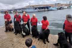 Lorient-Oceans-30-Juin-2024-12