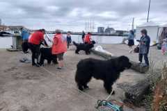 Lorient-Oceans-30-Juin-2024-15