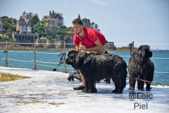 @Loic-Piel-Dinard-2-aout-2025-5