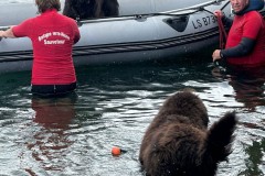 Lorient-oceans-6-juillet-2025-1