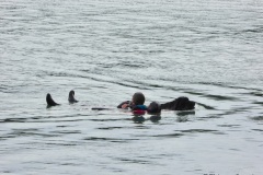 photo_2 (3)