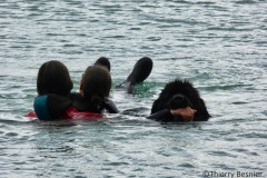 photo_2 (4)