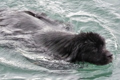 photo_2 (5)