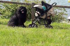 FB_IMG_1515105793122