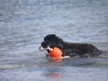thumb_img_9092_1024