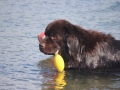 thumb_img_9311_1024