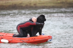 IMG_3653 (3)