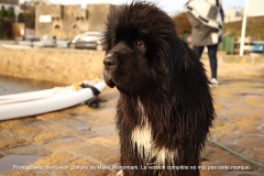 Copie-de-IMG_7192