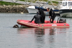image-1021