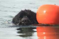 IMG-20231015-WA0053