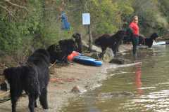 IMG-20231015-WA0074
