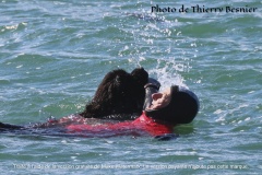 Photo-deThierry-Besnier-Saint-Suliac-24-Mars-2024-12