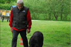 _00017-jpg