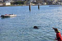 DOUARNENEZ-16-novembre-2025-3