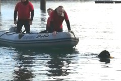 DOUARNENEZ-16-novembre-2025-4