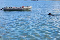 DOUARNENEZ-16-novembre-2025-6