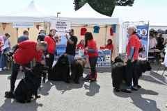 Fete-du-Nautisme-Brest-1er-septembre-2024-23