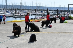 Fete-du-Nautisme-Brest-1er-septembre-2024-4