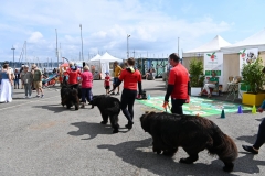 Fete-du-Nautisme-Brest-1er-septembre-2024-5