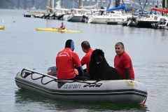 Fete-du-Nautisme-Brest-1er-septembre-2024-8