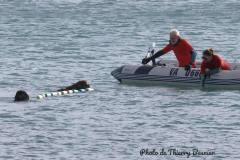 Langrolay-19-octobre-2025-photo-de-Thierry-Besnier-2