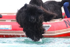 @Thierry-Besnier-Langrolay-9-novembre-2025-10