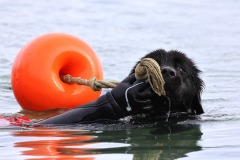 @Thierry-Besnier-Langrolay-9-novembre-2025-15