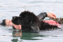 @Thierry-Besnier-Langrolay-9-novembre-2025-19