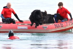 @Thierry-Besnier-Langrolay-9-novembre-2025-6