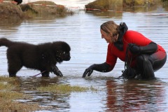 @Thierry-Besnier-Langrolay-9-novembre-2025-9