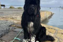 577177261_1304687138352991_1606575829786358547_n