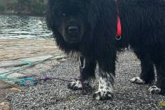 578270461_1304687055019666_6874425182013849244_n