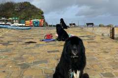 578645325_1304687511686287_483278997159420866_n